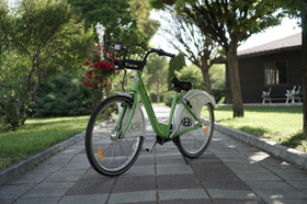 Image Title 1
