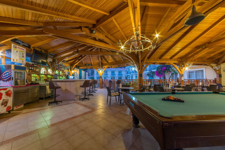 Image Title 6