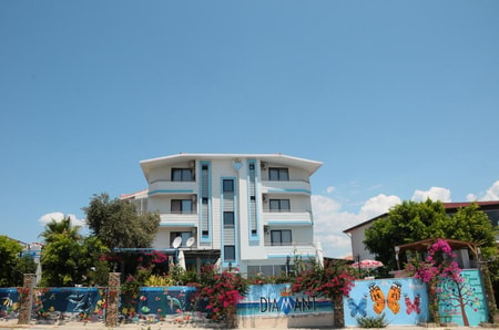 Image Title 1