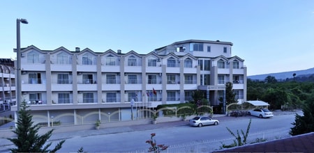 Image Title 6